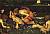 Waterhouse John William - Le reveil d-Adonis.jpg Waterhouse John William - Le reveil d-Adonis.jpg